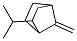 (9ci)-7-亞甲基-2-(1-甲基乙基)-雙環(huán)[2.2.1]庚烷結(jié)構(gòu)式_125909-73-1結(jié)構(gòu)式