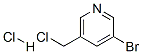 3-Bromo-5-(chloromethyl)pyridine hydrochlorideStructure,39741-46-3Structure 3-Bromo-5-(chloromethyl)pyridine hydrochloride Structure,39741-46-3Structure