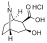 芽子堿鹽酸鹽結(jié)構(gòu)式_5796-31-6結(jié)構(gòu)式