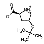H-HYP(TBU)-OH結構式_79775-07-8結構式