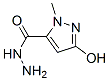 3-羥基-1-甲基吡唑-5-羧肼結(jié)構(gòu)式_844891-24-3結(jié)構(gòu)式