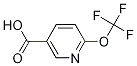 Trifluoromethoxypyridine-3-carboxylic acidStructure,940895-85-2Structure Trifluoromethoxypyridine-3-carboxylic acid Structure,940895-85-2Structure
