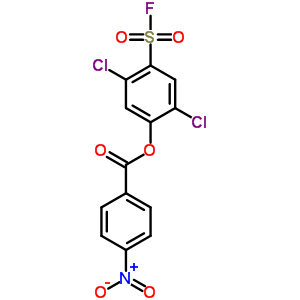 2,5-二氯-4-[(4-硝基苯甲?；?氧基]-苯磺酰氟結(jié)構(gòu)式_23383-86-0結(jié)構(gòu)式
