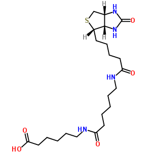 6-((6-((生物素基)氨基)己?；?氨基)己酸結(jié)構(gòu)式_89889-51-0結(jié)構(gòu)式